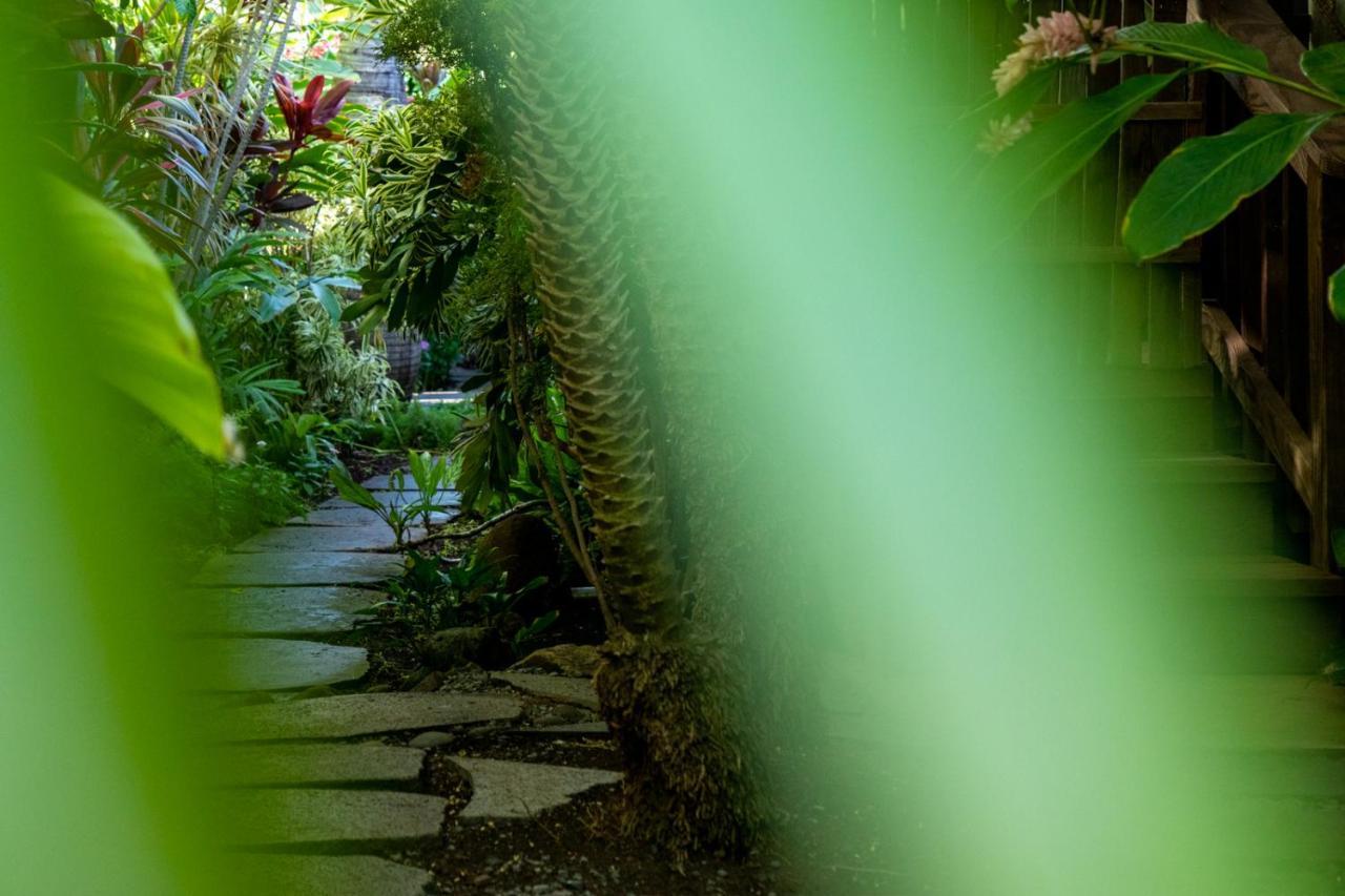 Hotel The Kulani Maui Lahaina Zewnętrze zdjęcie